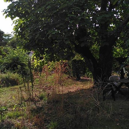 Villa Lulu Mérignac Zewnętrze zdjęcie