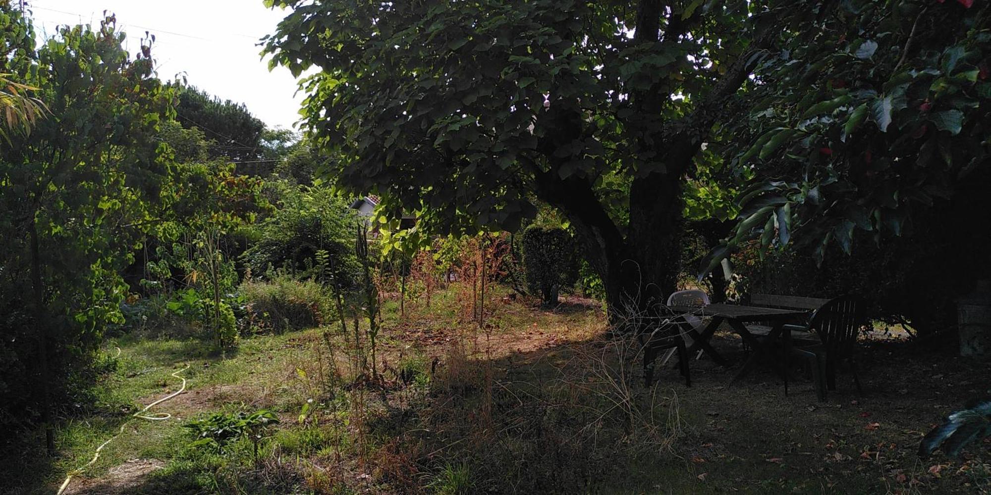 Villa Lulu Mérignac Zewnętrze zdjęcie